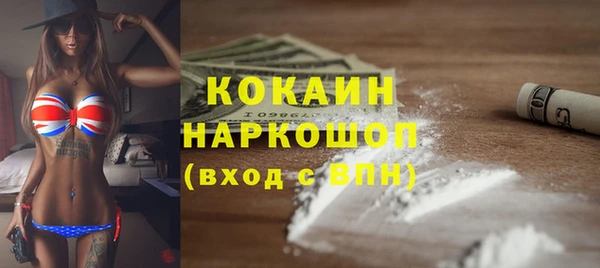 стаф Алзамай