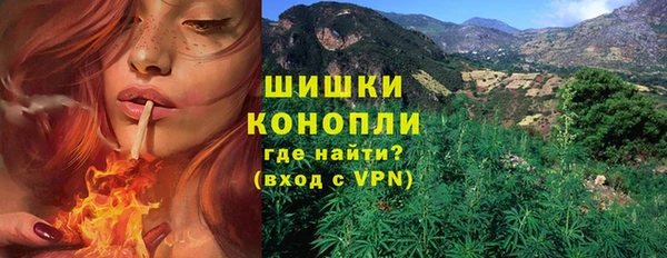 шишки Лихославль