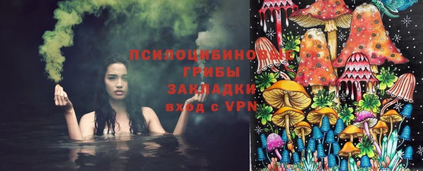 стаф Алзамай