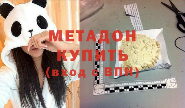 стаф Алзамай