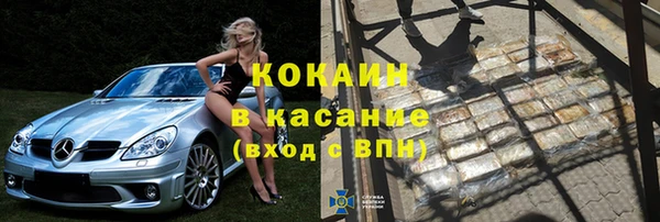 стаф Алзамай