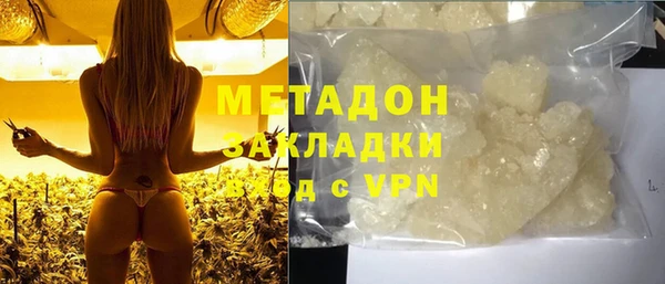 стаф Алзамай