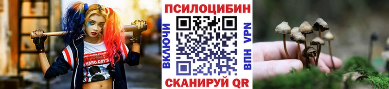 дарк нет телеграм  Солнечногорск  Галлюциногенные грибы прущие грибы  магазин  наркотиков 